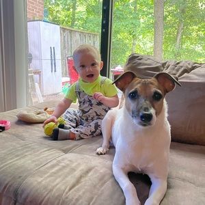 Meet your Posher, Randi